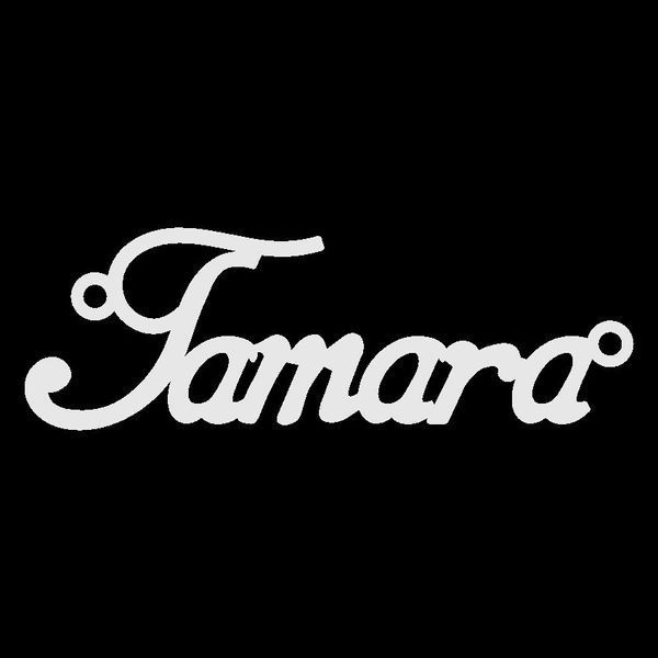 Серебряное колье с именем Tamara / цепочка с именем Tamara / серебряная подвеска с именем Tamara VL-4/450 фото