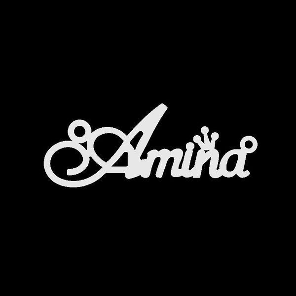 Серебряное колье с именем Amina / цепочка с именем Amina / серебряная подвеска с именем Amina VL-09124 фото
