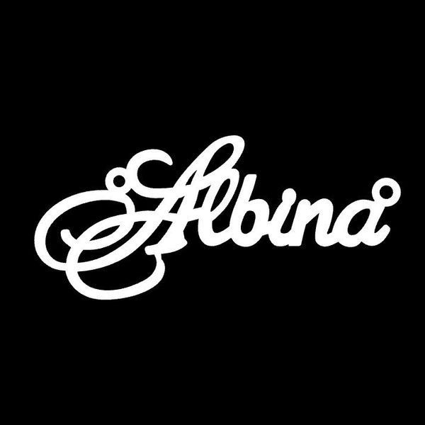 Срібне кольє з ім'ям Albina / ланцюжок з ім'ям Albina / срібна підвіска з ім'ям Albina VL-09125 фото