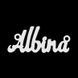 Срібне кольє з ім'ям Albina / ланцюжок з ім'ям Albina / срібна підвіска з ім'ям Albina VL-09125 фото 3