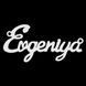 Серебряное колье с именем Evgeniya / цепочка с именем Evgeniya / серебряная подвеска с именем Evgeniya VL-09201 фото 3