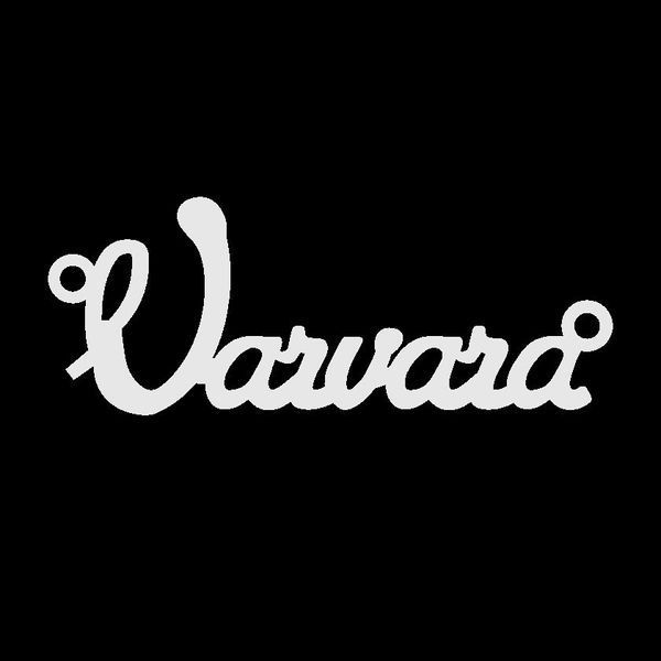 Срібне кольє з ім'ям Varvara / ланцюжок з ім'ям Varvara / срібна підвіска з ім'ям Varvara VL-4/472 фото