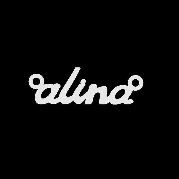 Серебряное колье с именем Alina / цепочка с именем Alina / серебряная подвеска с именем Alina VL-09118 фото