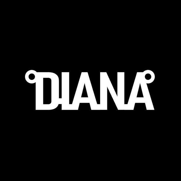 Серебряное колье с именем Diana / цепочка с именем Diana / серебряная подвеска с именем Diana VL-4/132кл фото