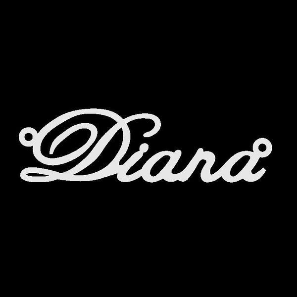 Серебряное колье с именем Diana / цепочка с именем Diana / серебряная подвеска с именем Diana VL-4/132кл фото